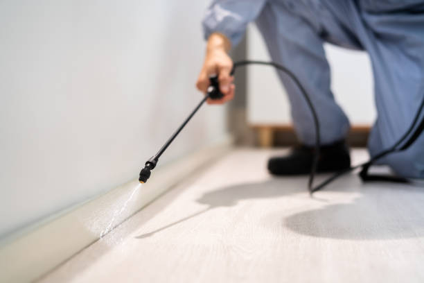 Licensed Termite Control service in Union Park, FL - Nex Pest Control