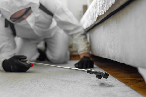 Professional Termite Control technician working in Union Park, FL