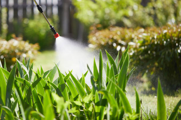 24/7 Emergency Termite Control experts in Union Park, FL