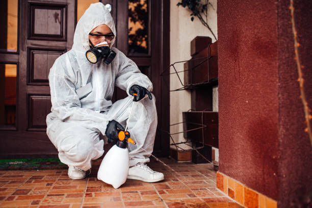 Reliable Termite Control contractor in Union Park, FL by Nex Pest Control
