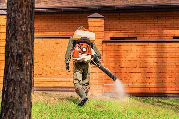Top rated local Termite Control specialists in Union Park, FL
